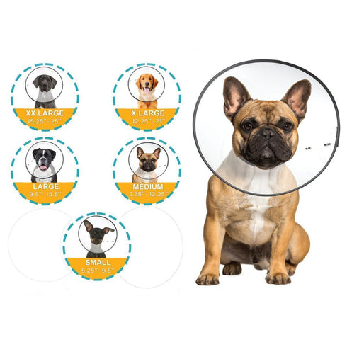 ZenPet E-Collar Clear XLarge Poudre Pet & Feed Supply 3